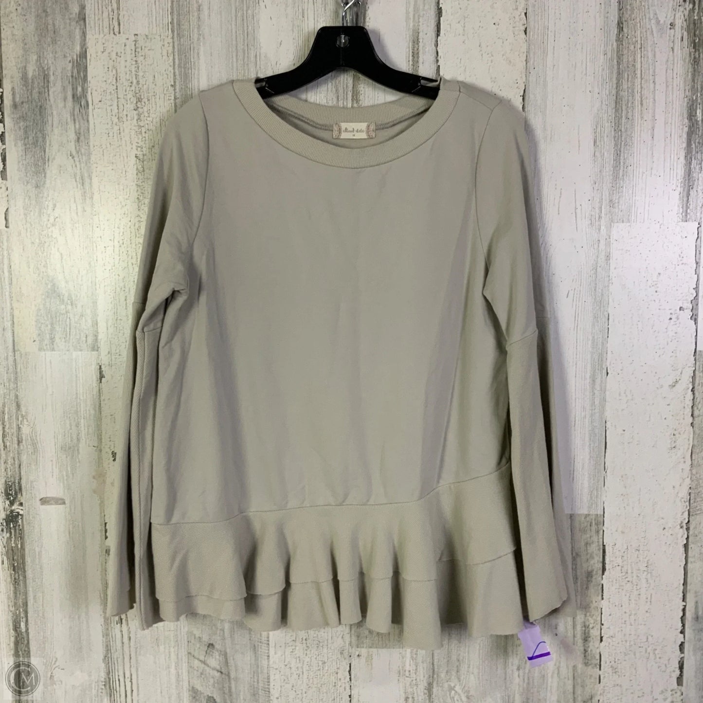 Top Long Sleeve By Altard State In Taupe, Size: M