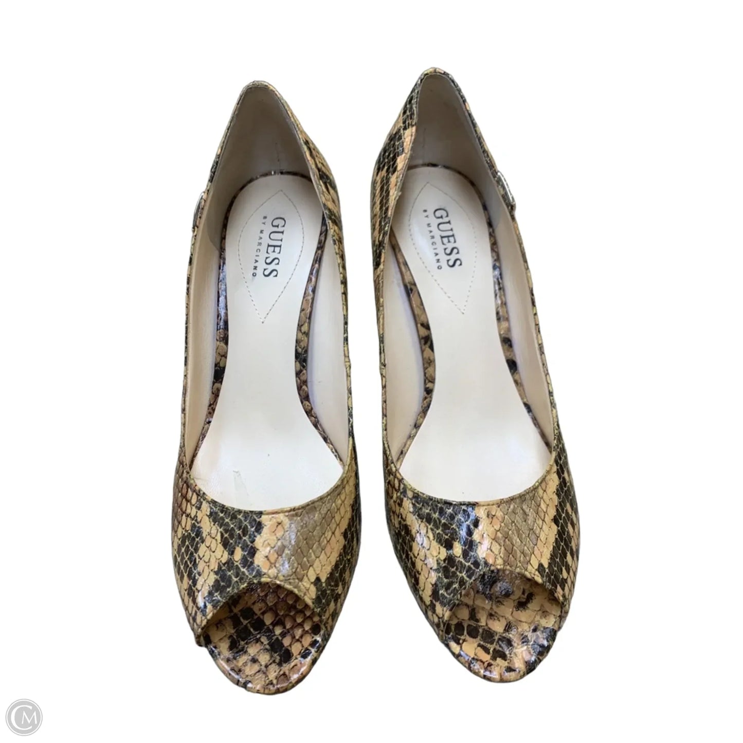 Shoes Heels Kitten By Guess In Snakeskin Print, Size: 8.5