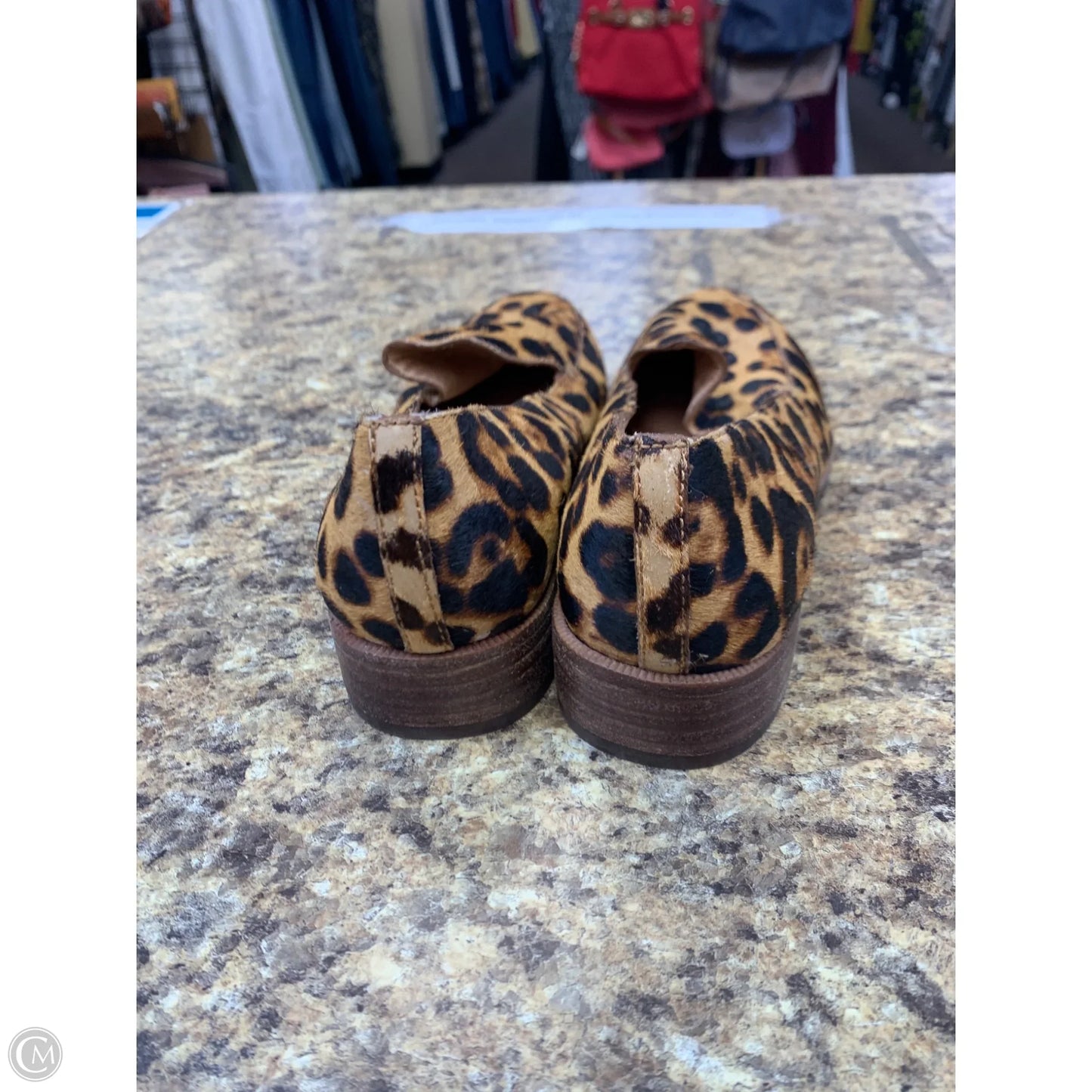 Shoes Flats By Madewell In Leopard Print, Size: 5.5