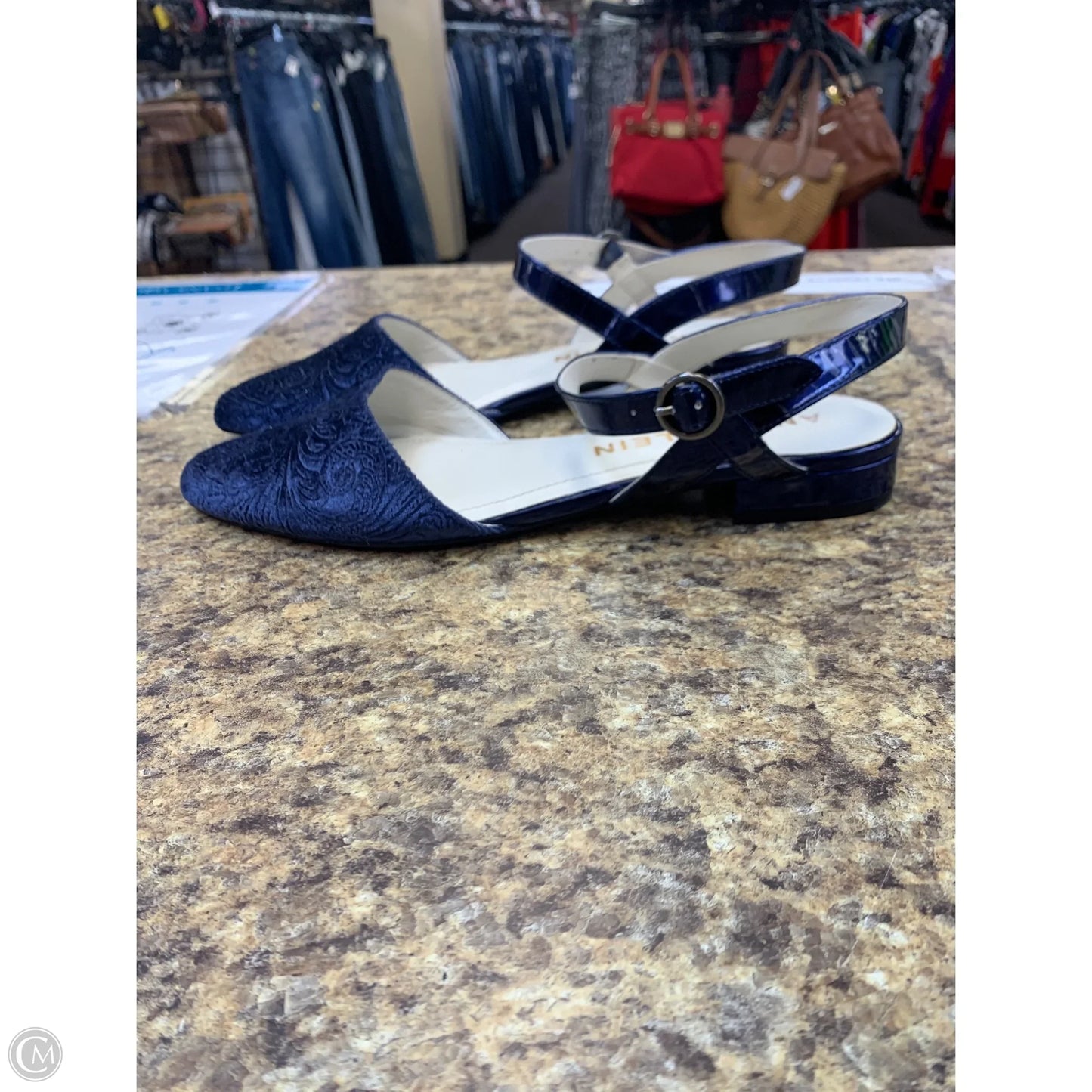 Shoes Flats By Anne Klein In Navy, Size: 9