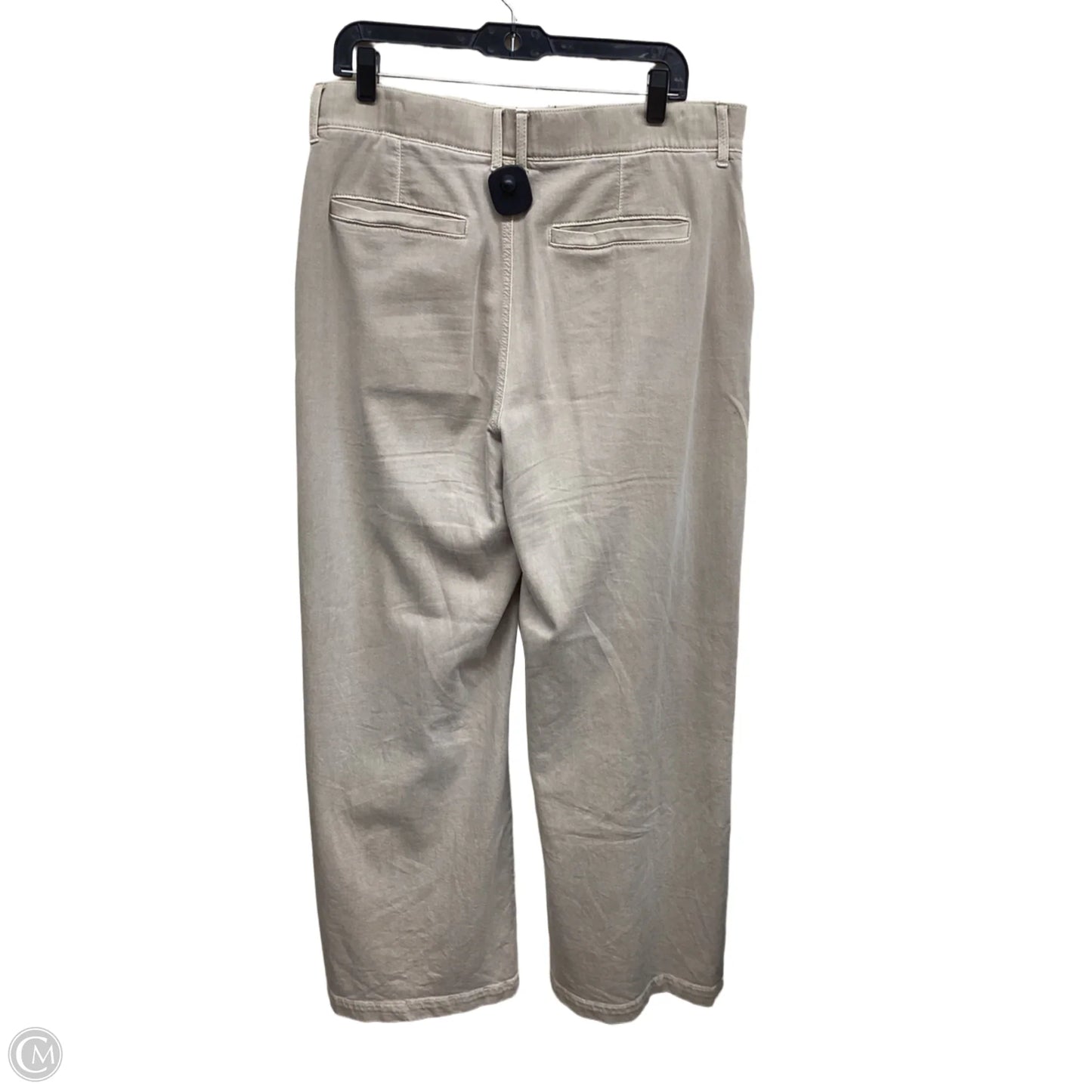 Pants Other By American Eagle In Tan, Size: 12