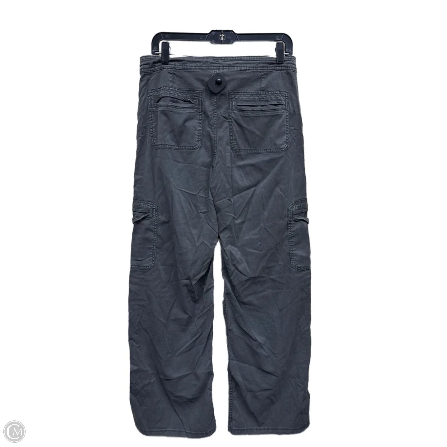Pants Other By American Eagle In Grey, Size: 8