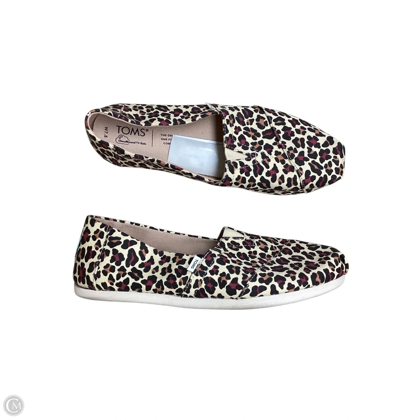 Shoes Flats By Toms In Animal Print, Size: 7.5