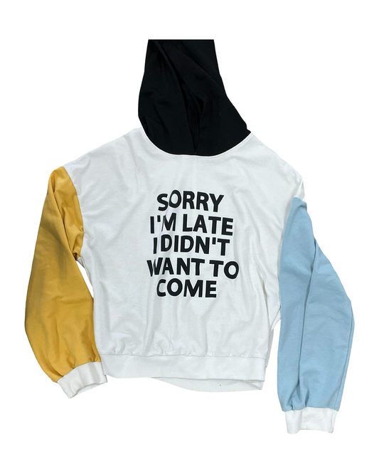 Sweatshirt Hoodie By Clothes Mentor In White, Size:M