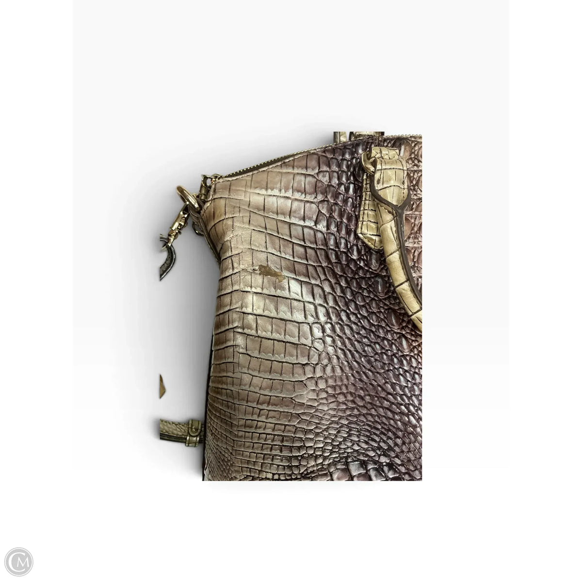 Crossbody Designer By Brahmin, Size: Large