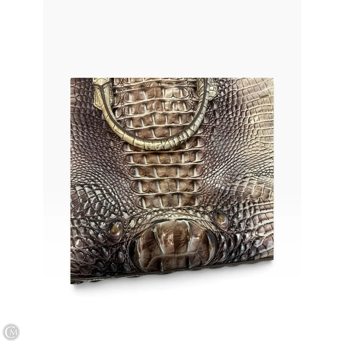Crossbody Designer By Brahmin, Size: Large