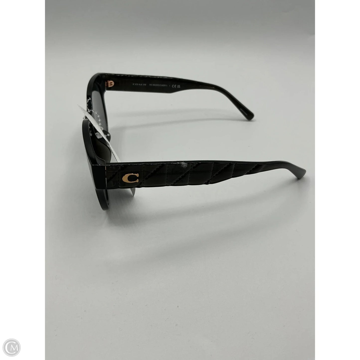 Sunglasses Luxury Designer By Coach, Size: Large