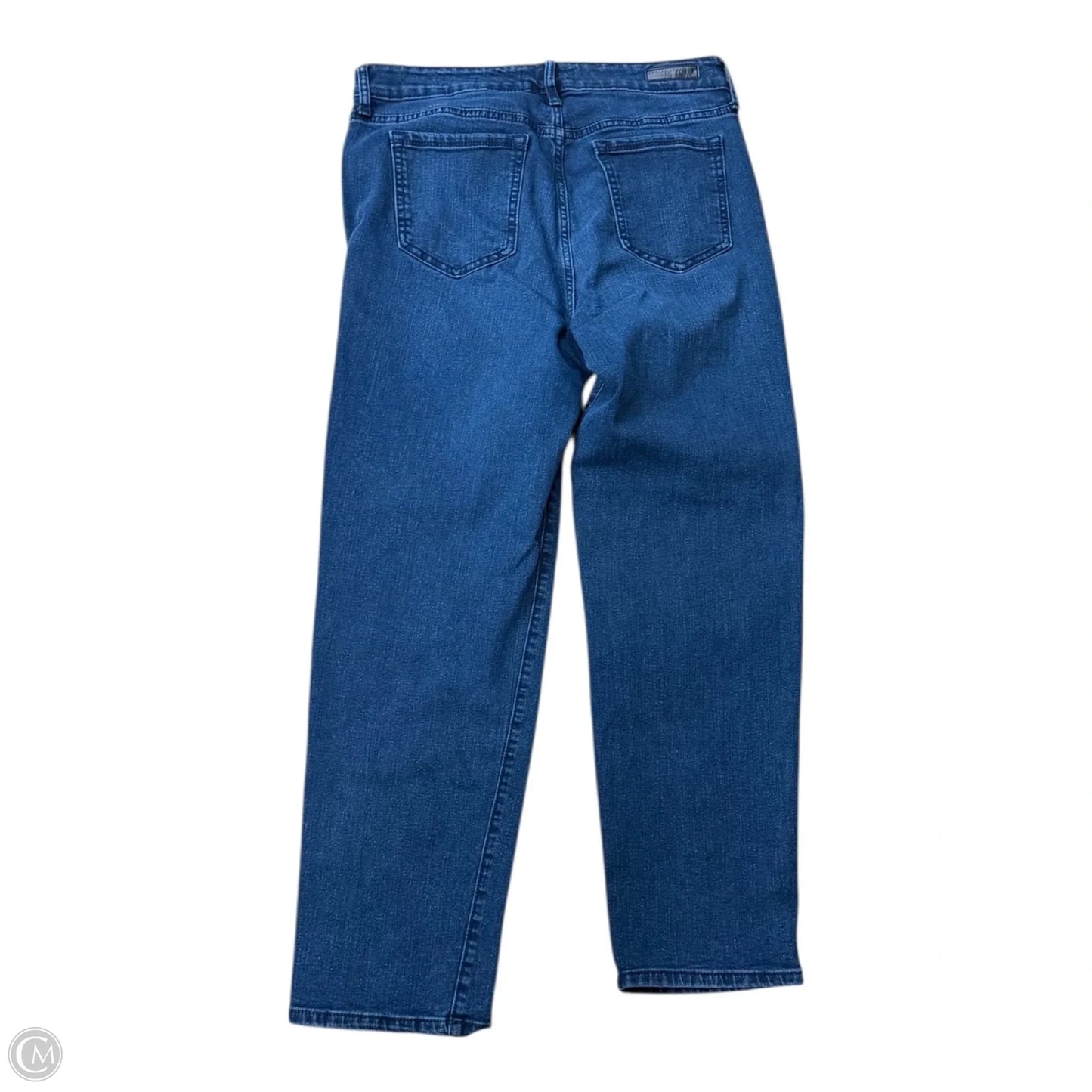 Jeans Straight By Social Standard By Sanctuary In Blue Denim, Size: 10