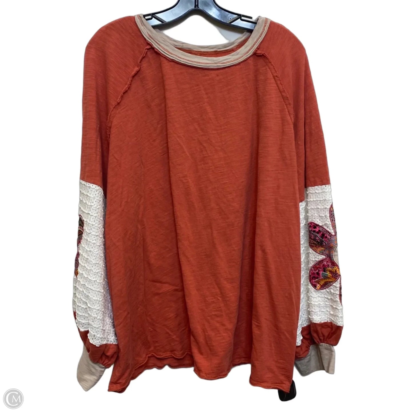 Top Long Sleeve By Cmf In Brown & Cream, Size: 4x