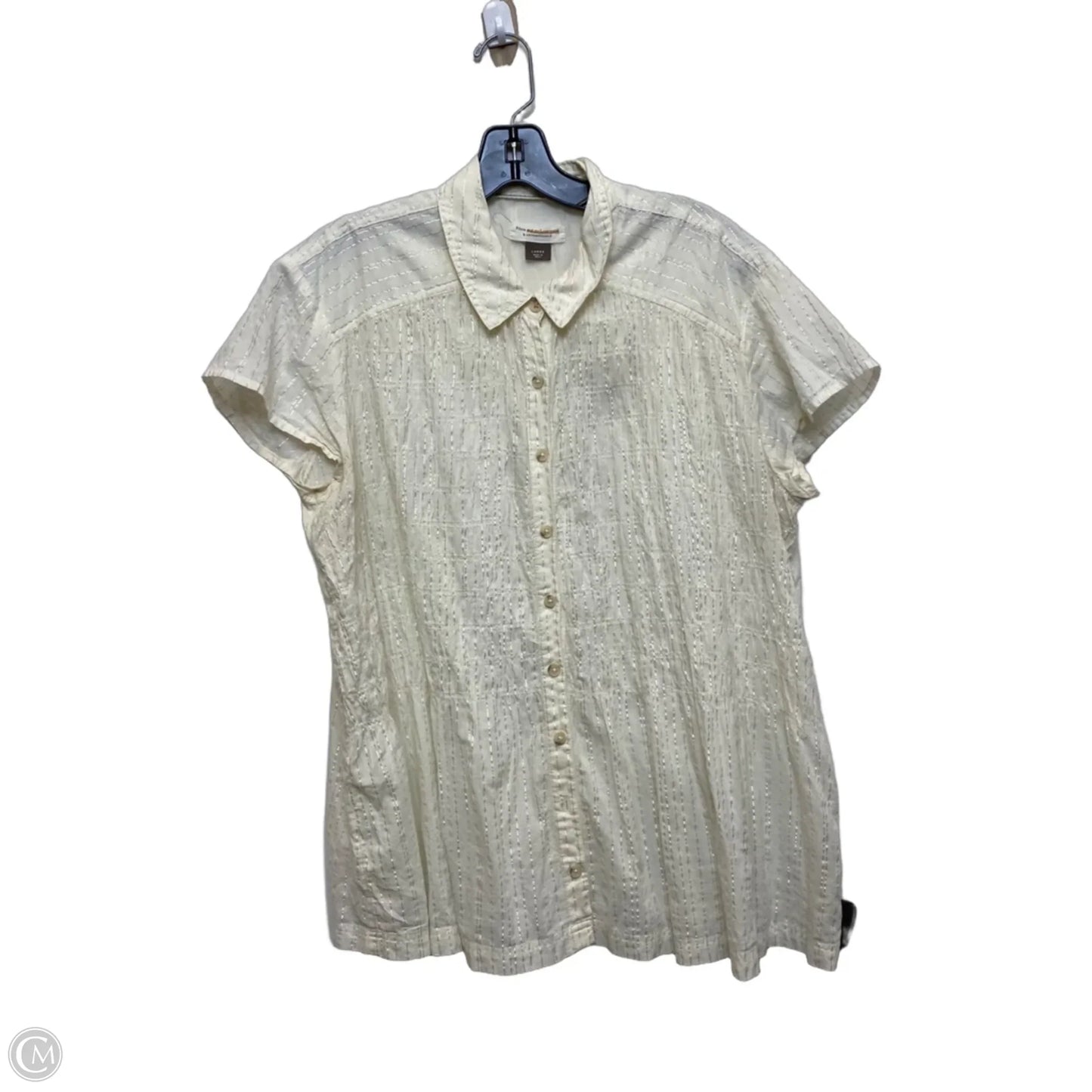 Top Short Sleeve By Pilcro In Cream, Size: L