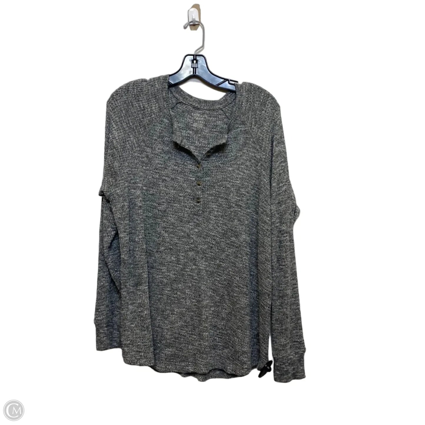 Top Long Sleeve By American Eagle In Grey, Size: L