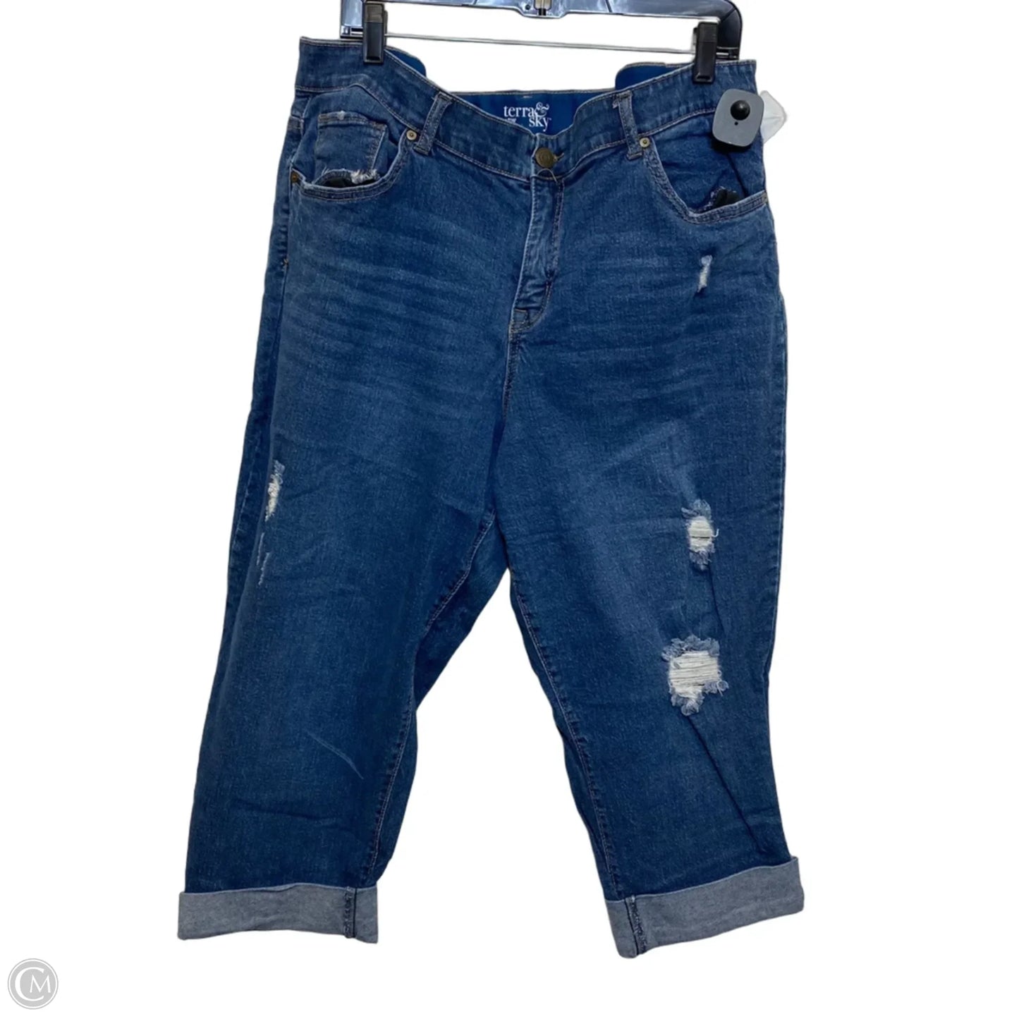 Jeans Boyfriend By Terra & Sky In Blue Denim, Size: 18