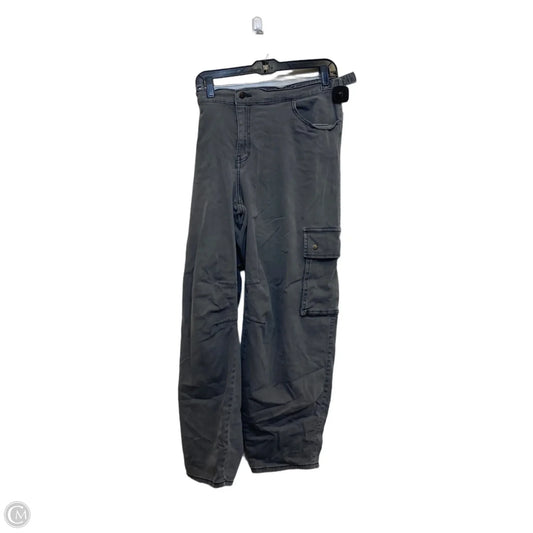 Pants Cargo & Utility By Wild Fable In Grey, Size: Xxl