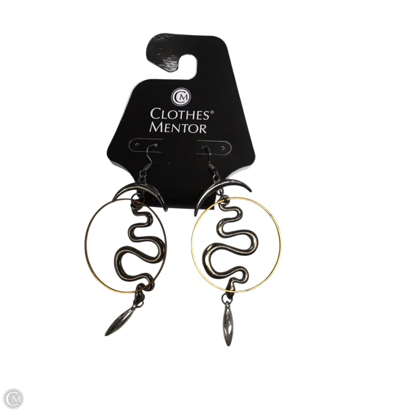 Earrings Dangle/drop By Chicos