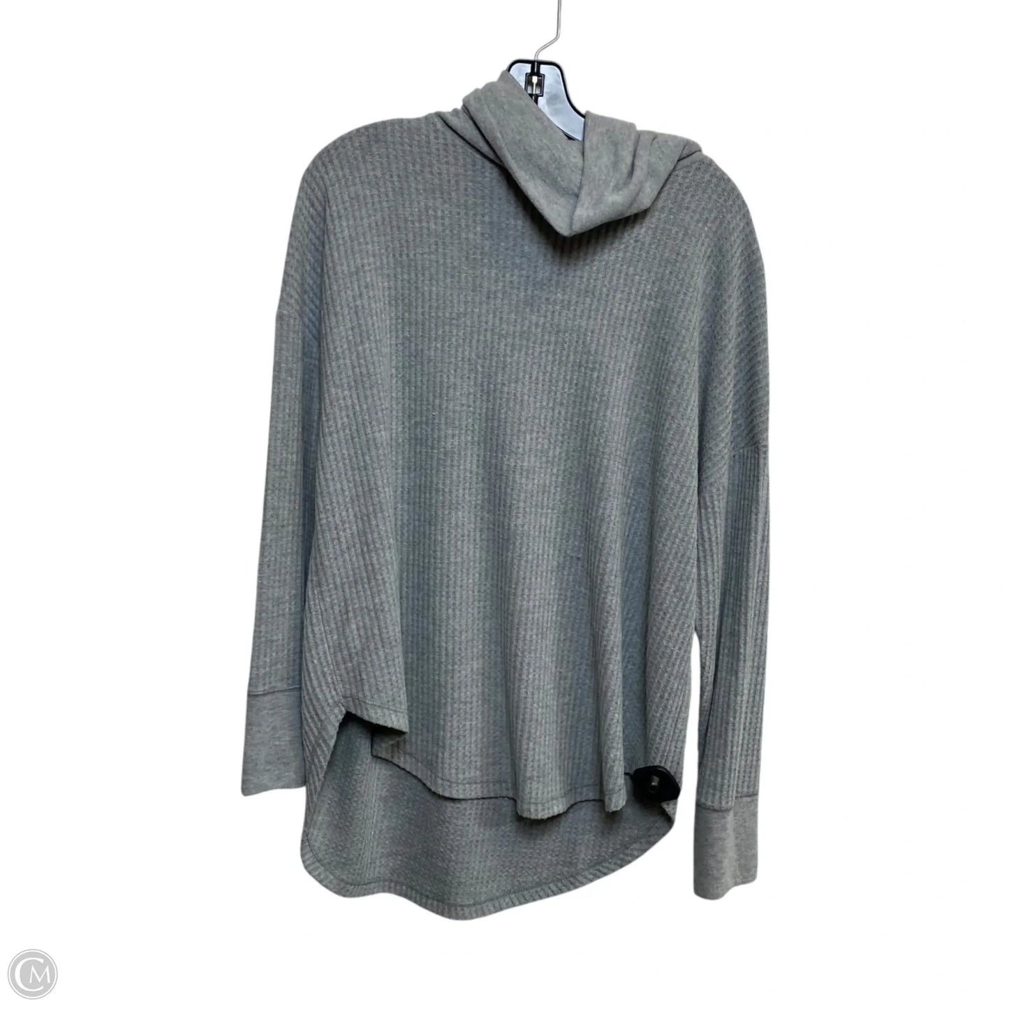 Top Long Sleeve By Time And Tru In Grey, Size: L