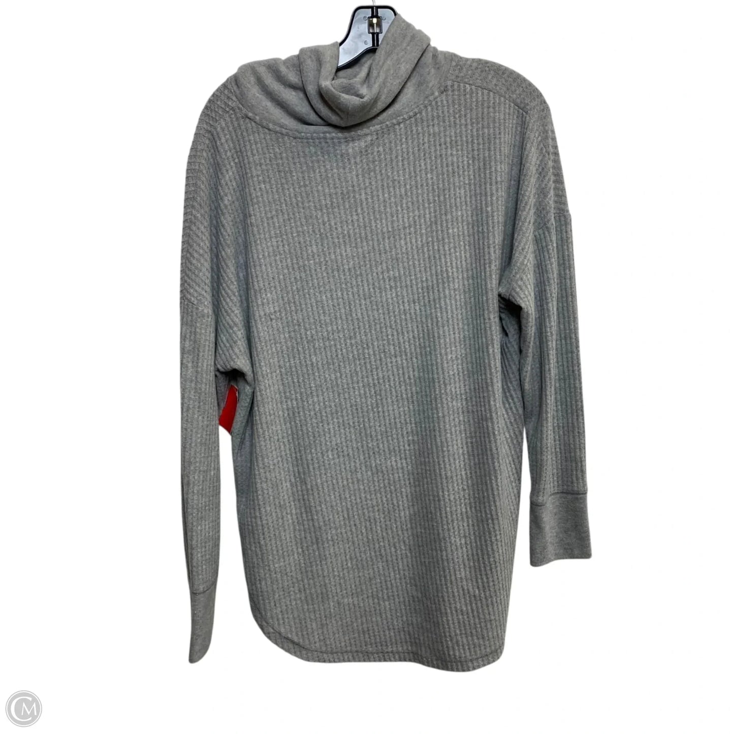 Top Long Sleeve By Time And Tru In Grey, Size: L