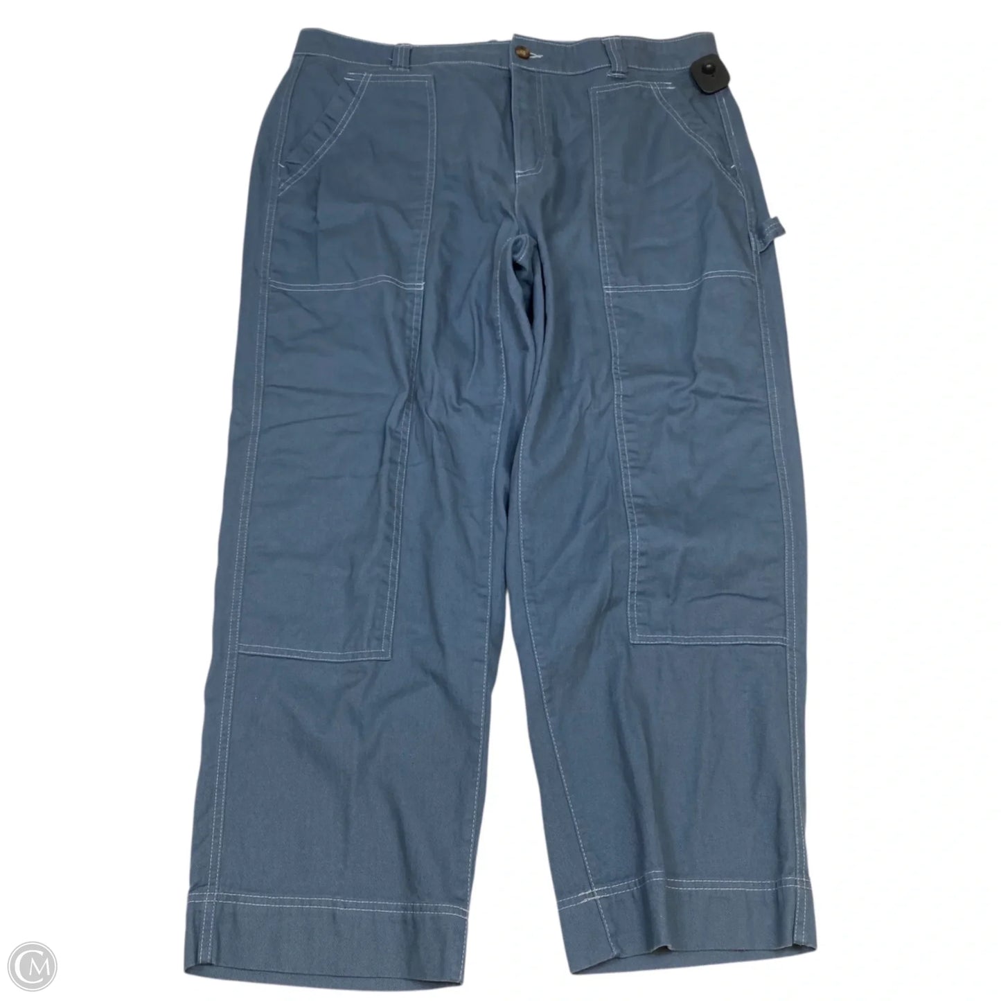 Pants Cargo & Utility By Old Navy In Blue, Size: 18