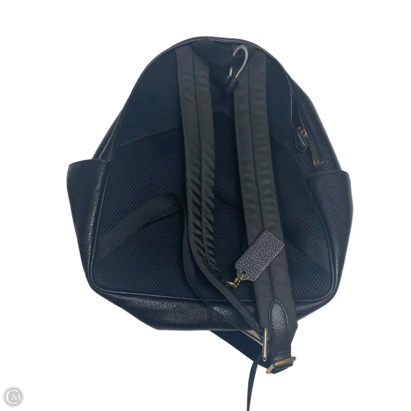 Backpack Designer By Coach, Size: Medium