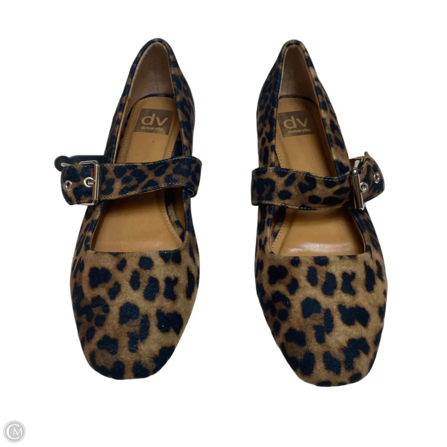 Shoes Flats By Dolce Vita In Animal Print, Size: 8.5