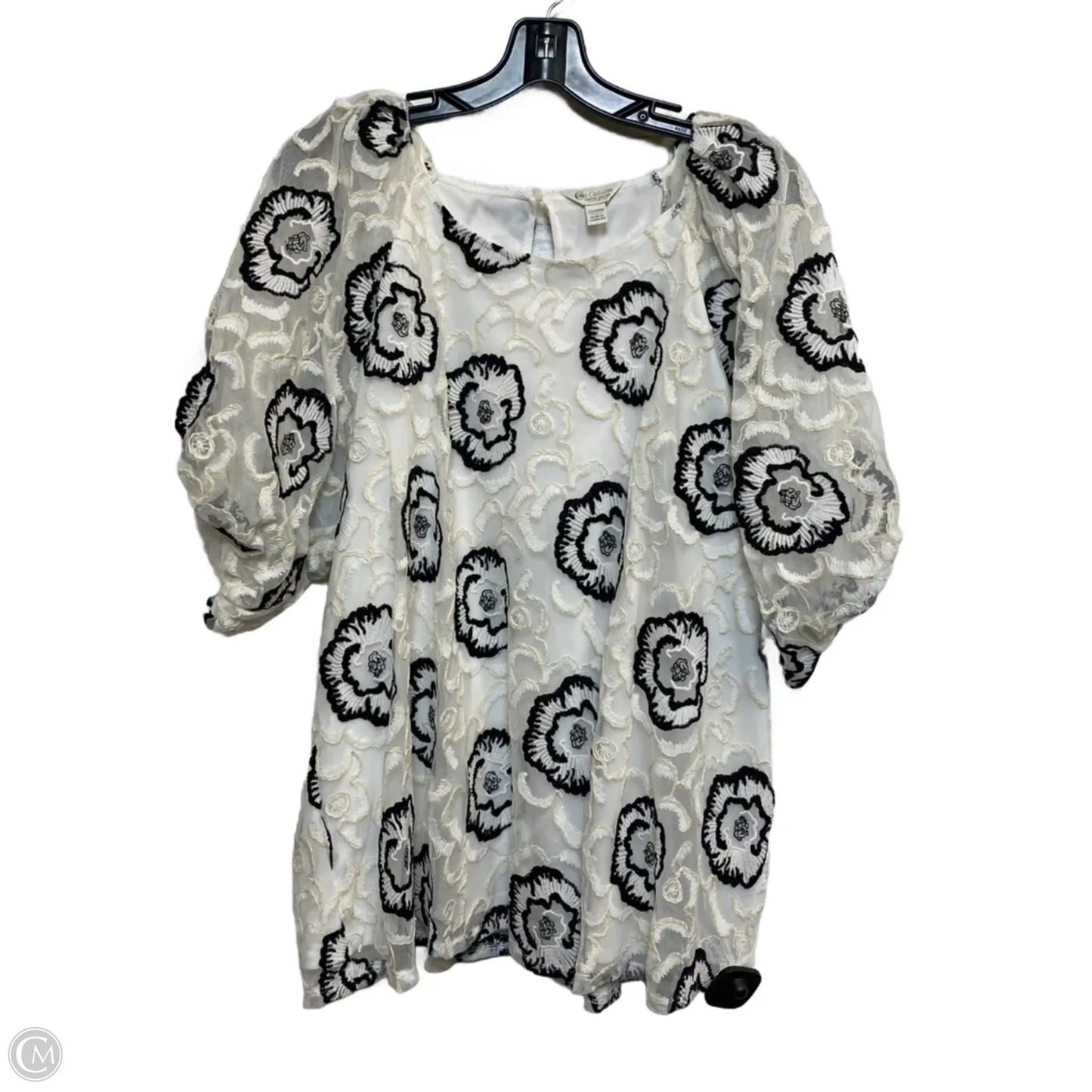 Top Long Sleeve By Cato In Cream, Size: 3x