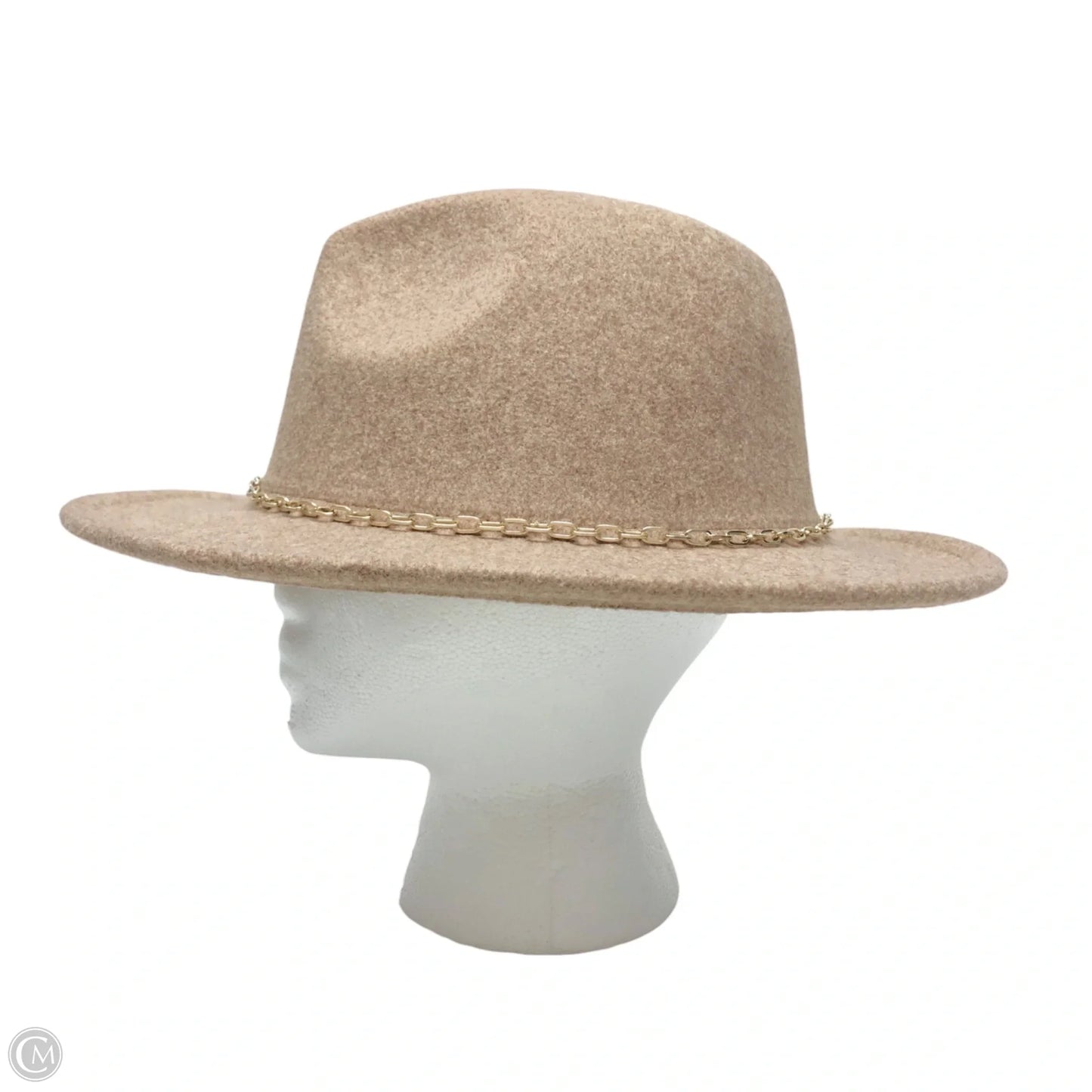 Hat Fedora By Anthropologie