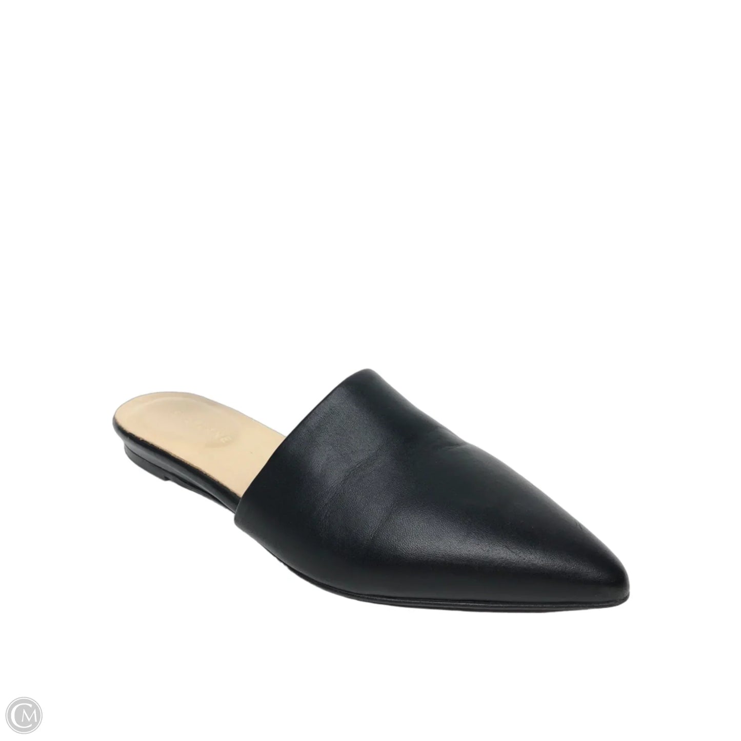 Shoes Flats By Everlane In Black, Size: 6.5