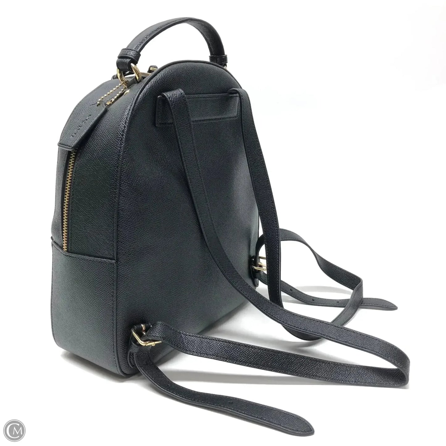 Backpack Designer By Coach, Size: Medium