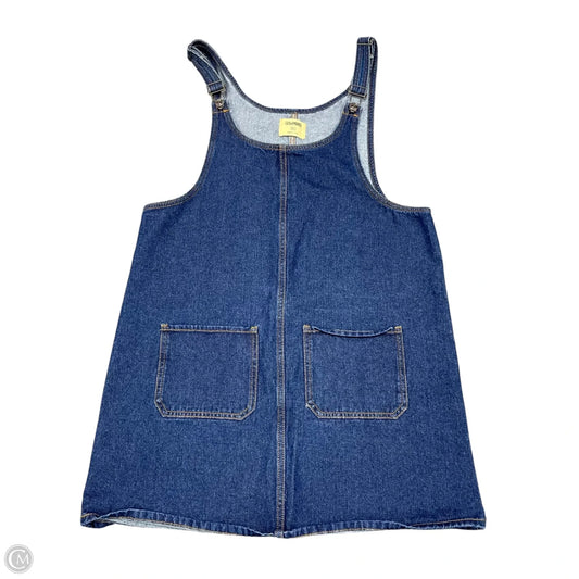 Dress Casual Short By Clothes Mentor In Blue Denim, Size: Xl