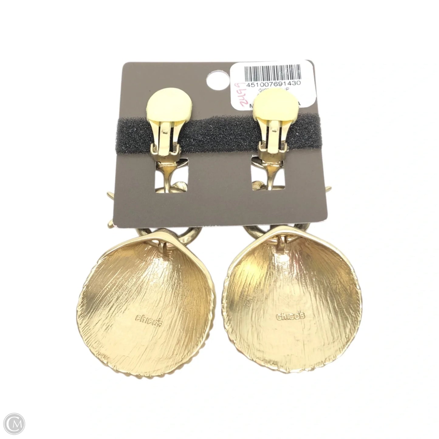 Earrings Dangle/drop By Chicos