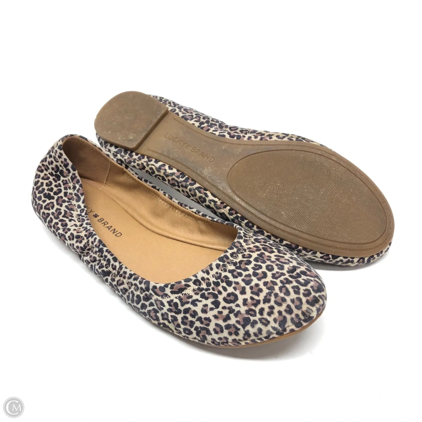 Shoes Flats By Lucky Brand In Animal Print, Size: 9.5