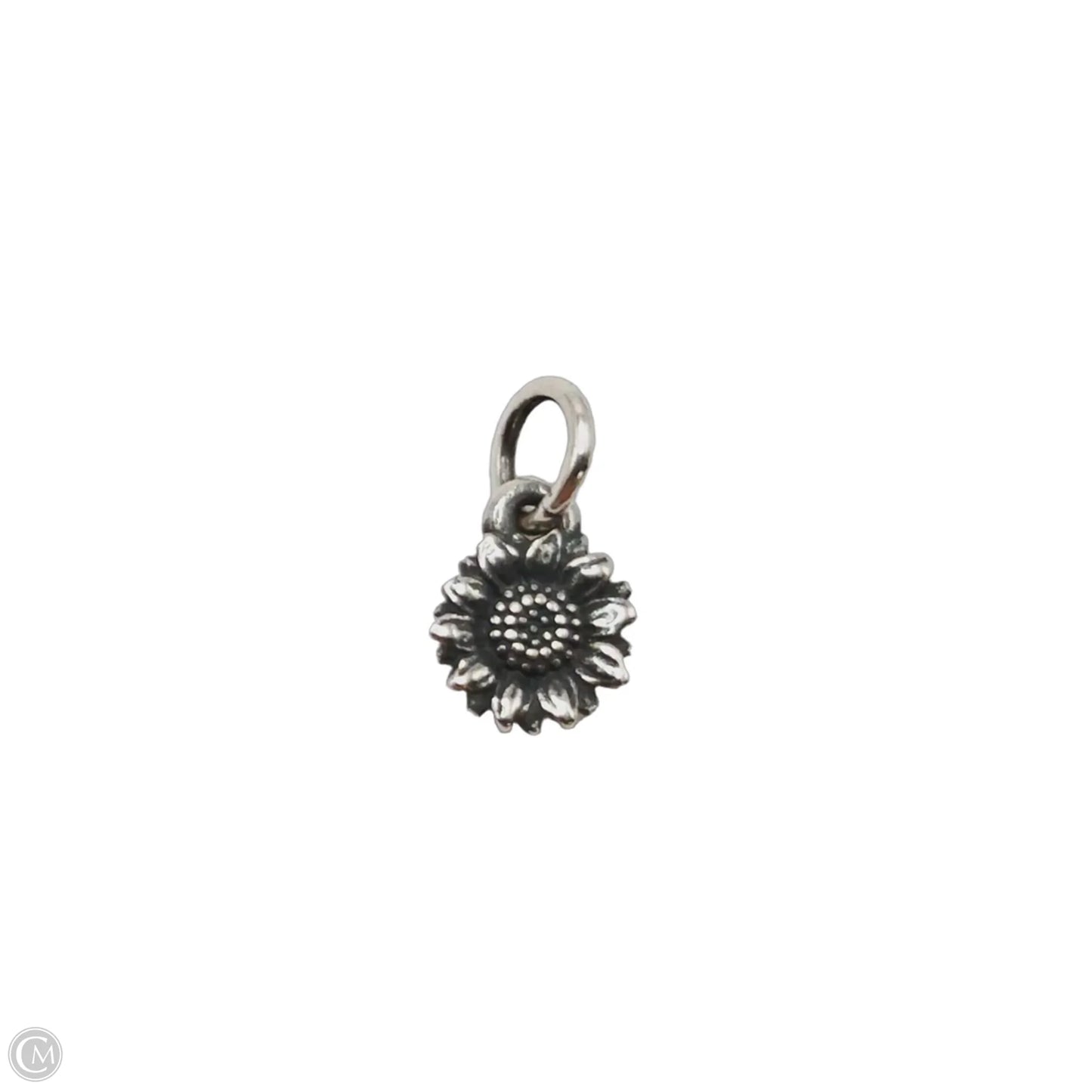 Jewelry Charm By James Avery