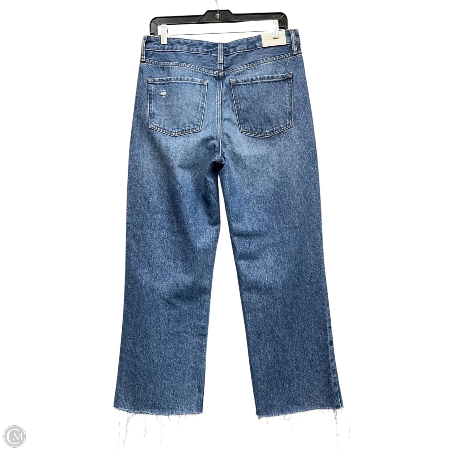 Jeans Wide Leg By Express In Blue Denim, Size: 6