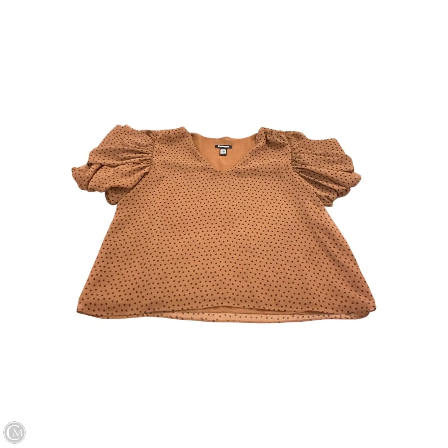 Top Short Sleeve By Express In Brown, Size: L