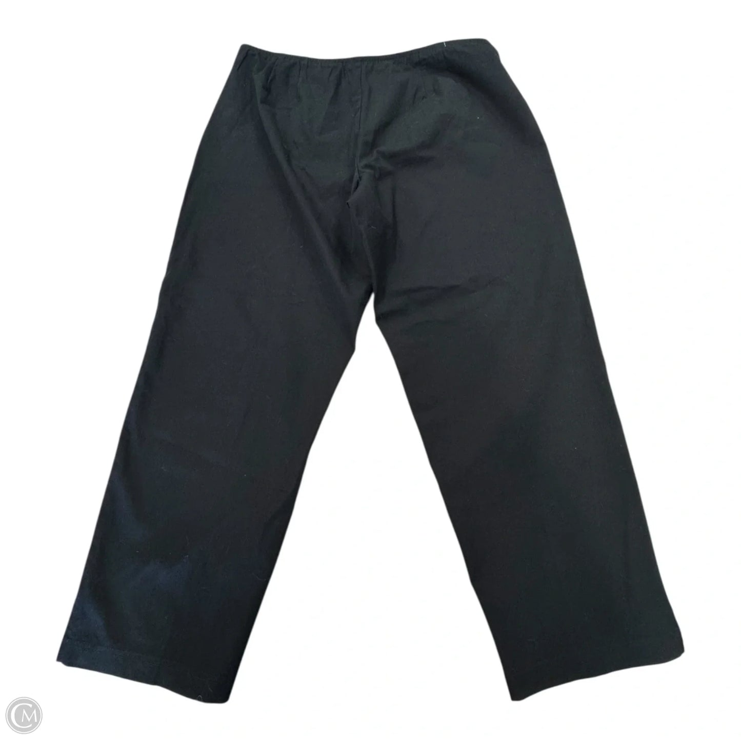 Pants Other By Eileen Fisher In Blue, Size: Xl