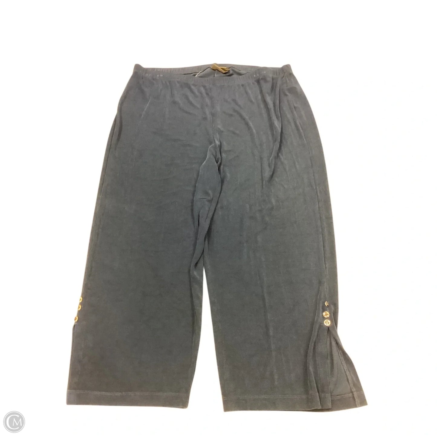 Pants Other By Chicos In Blue, Size: Xl