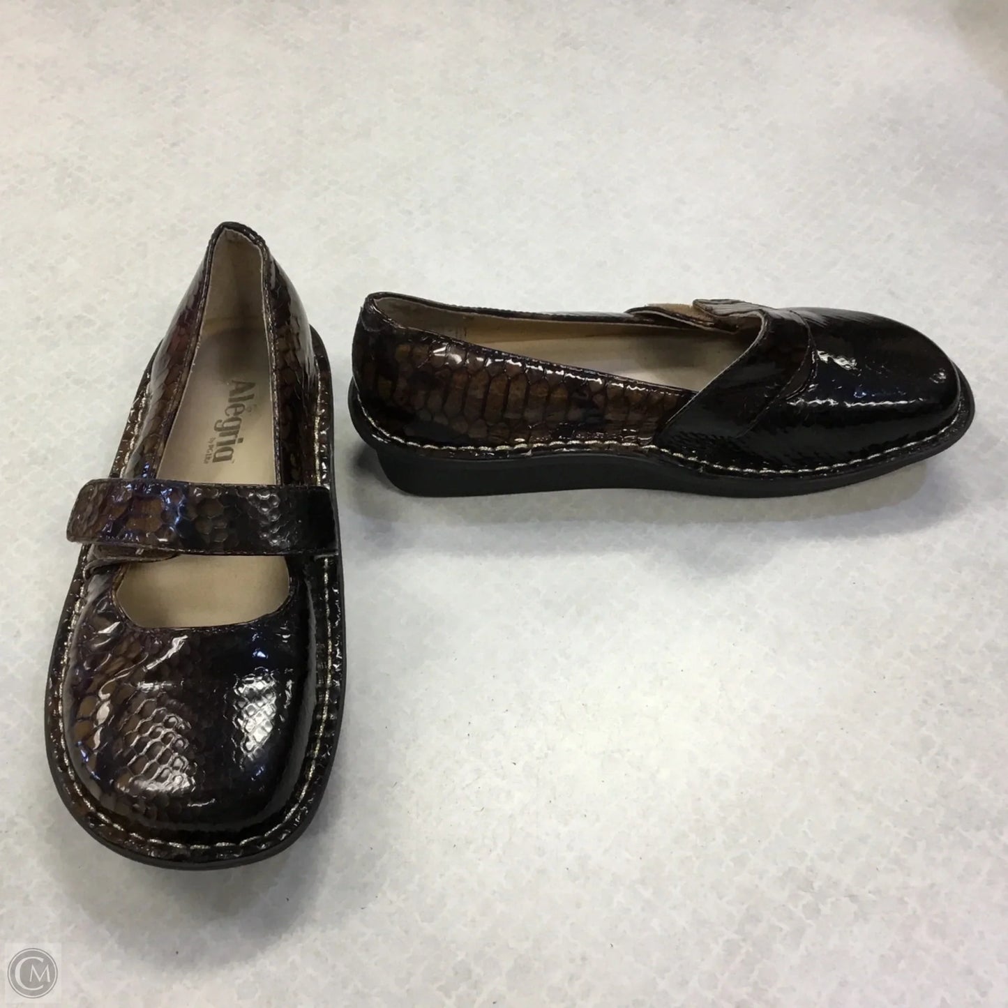 Shoes Flats By Alegria In Snakeskin Print, Size: 6.5