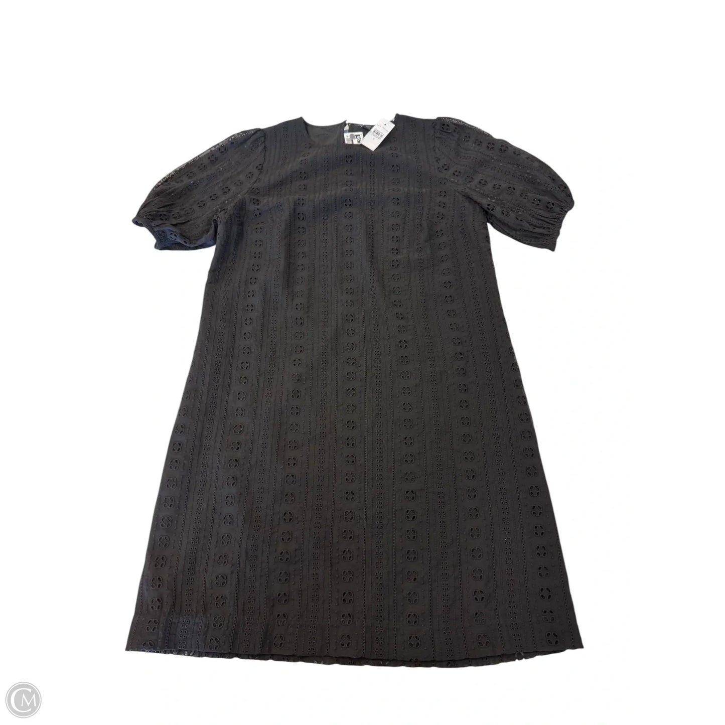 Dress Casual Short By Ann Taylor In Black, Size: 6