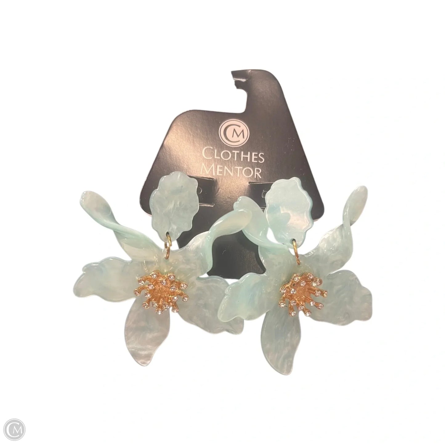 Earrings Dangle/drop By Clothes Mentor