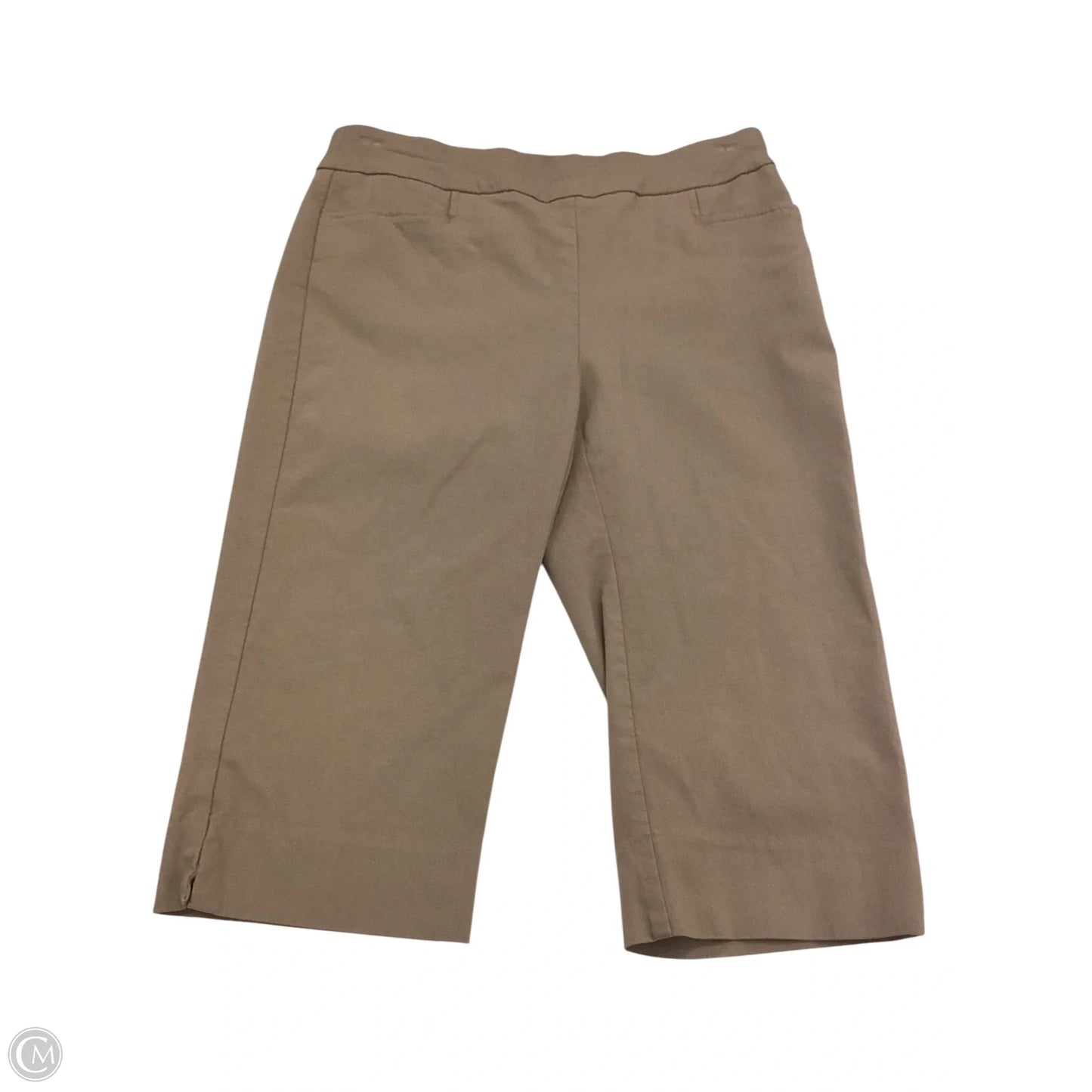 Shorts By Chicos In Brown, Size: 0