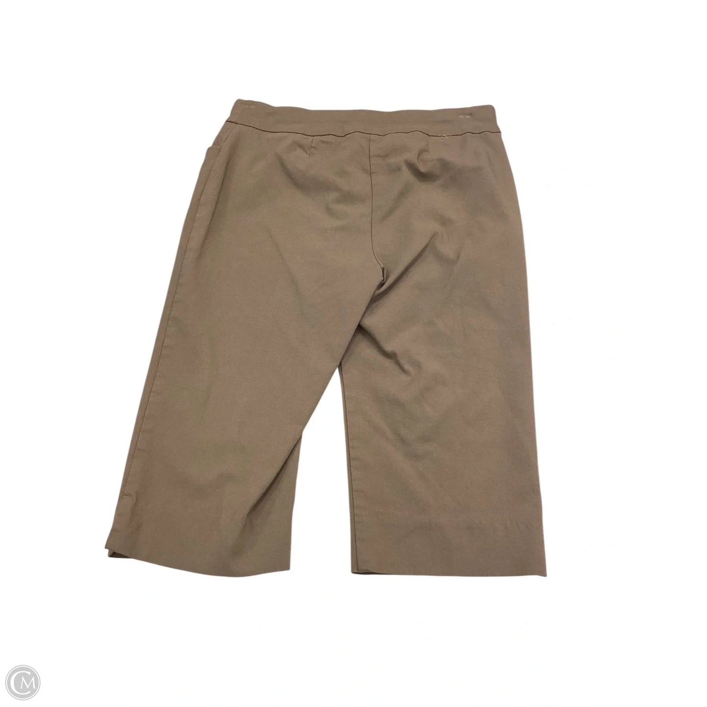 Shorts By Chicos In Brown, Size: 0