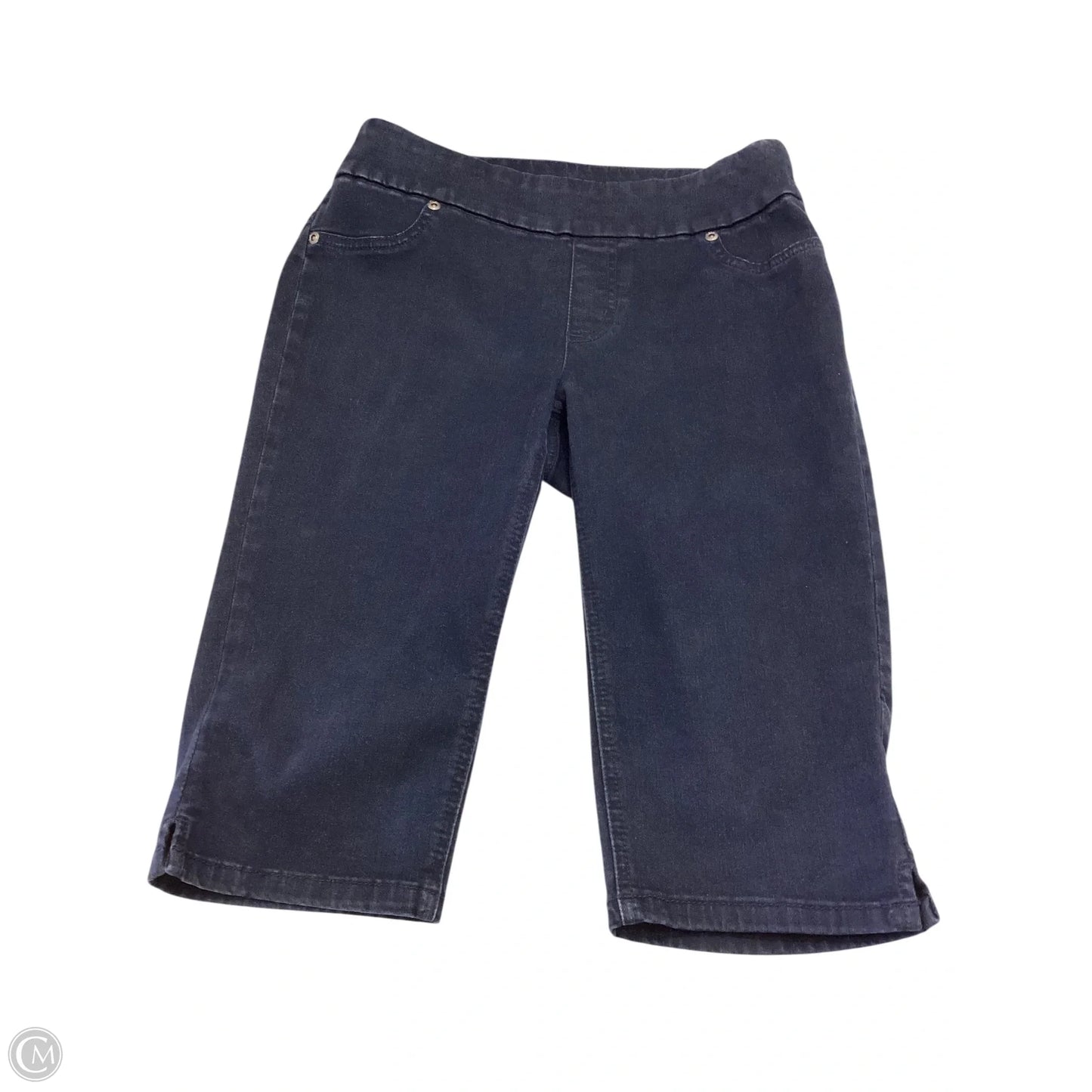 Shorts By Chicos In Navy, Size: 0