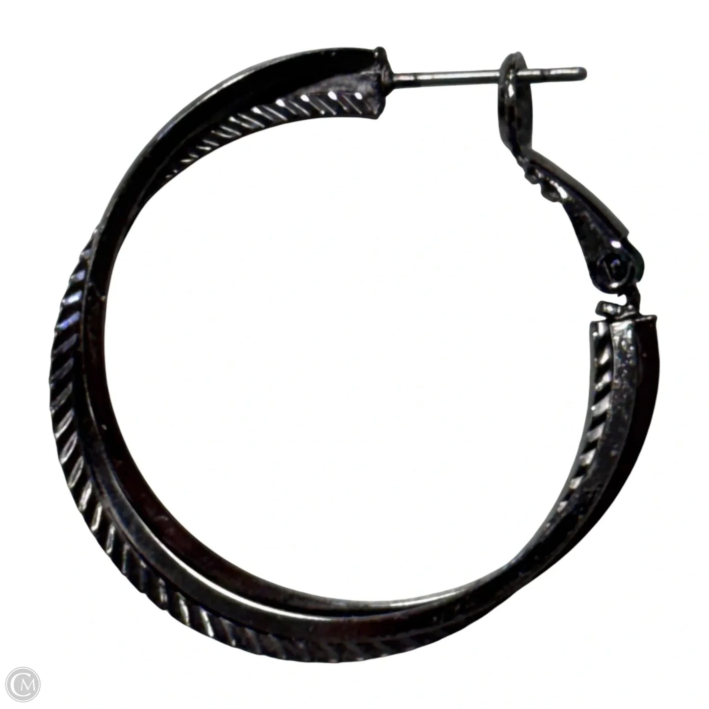 Earrings Hoop By Clothes Mentor