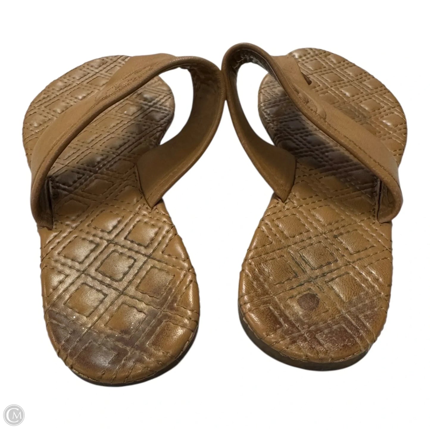 Shoes Designer By Tory Burch In Tan, Size: 9