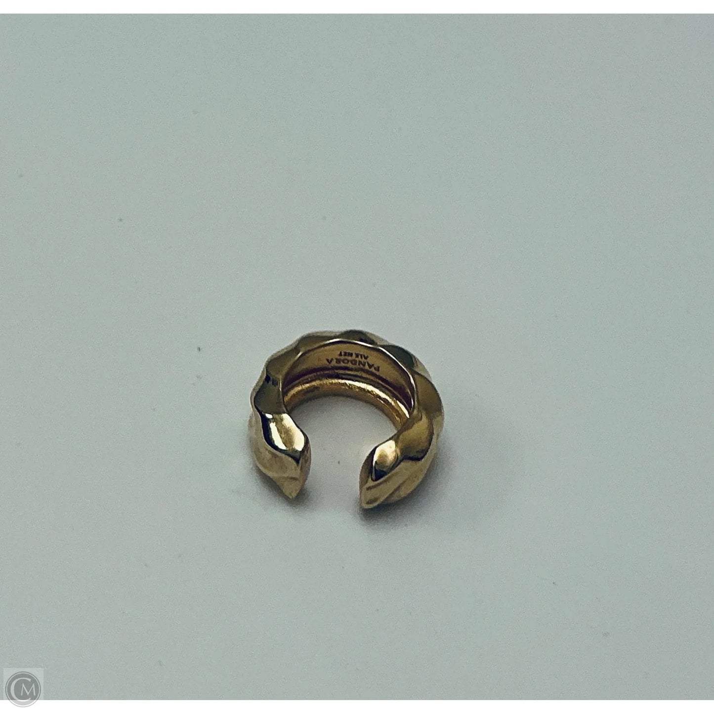 Earrings Other By Pandora