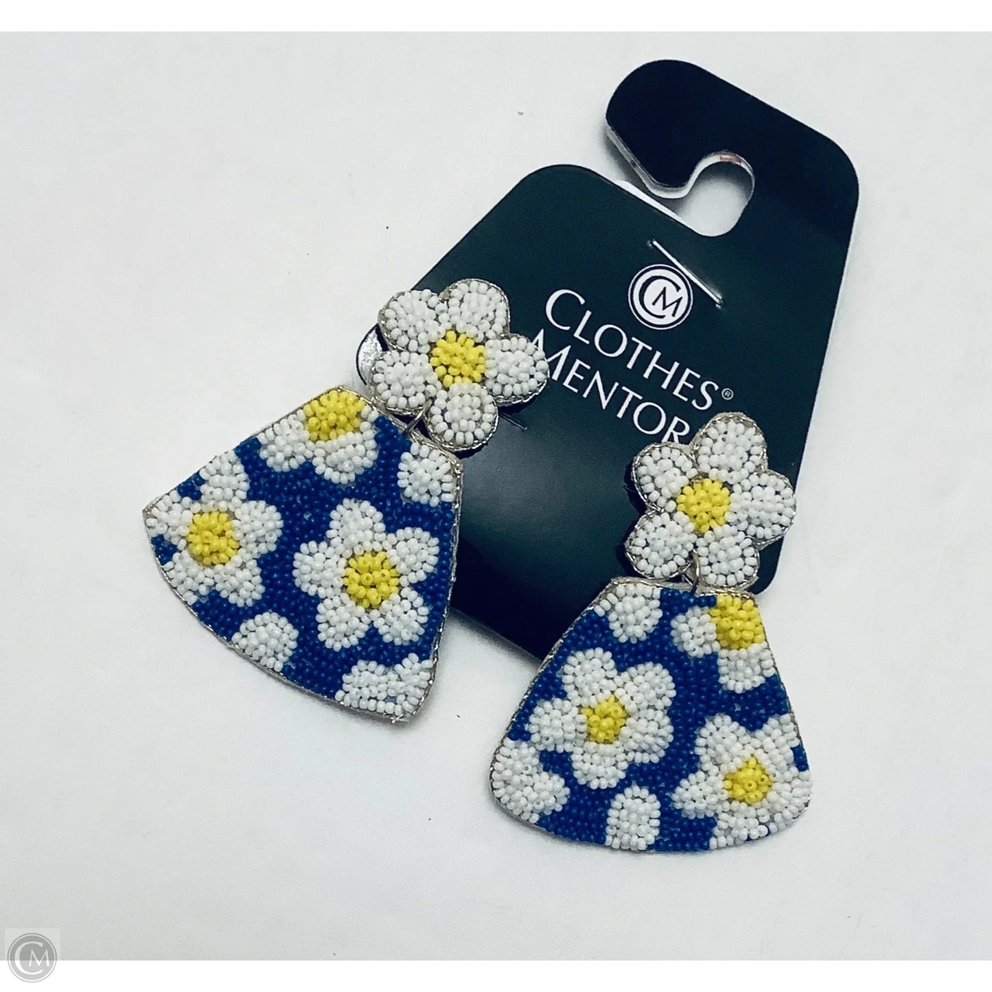 Earrings Dangle/drop By Clothes Mentor