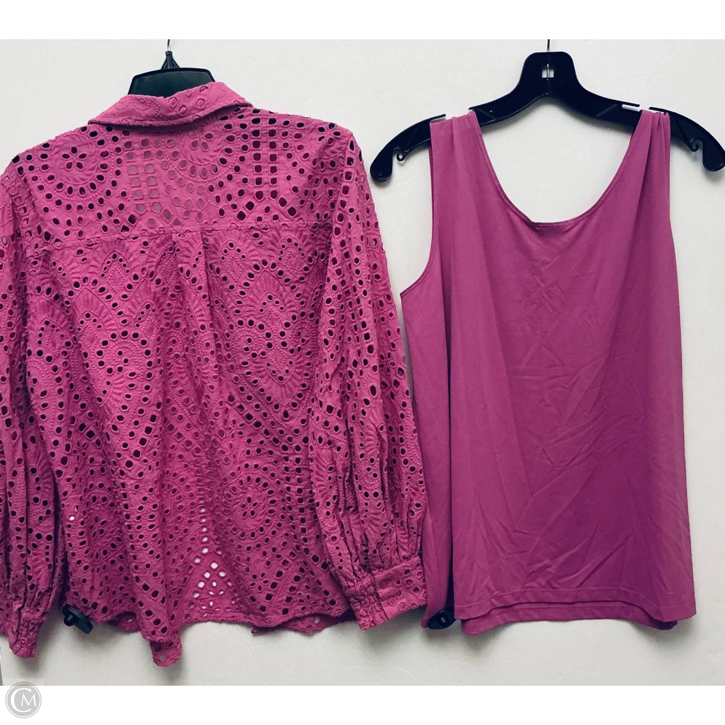 Top 2pc Long Sleeve By Chicos In Pink, Size: L
