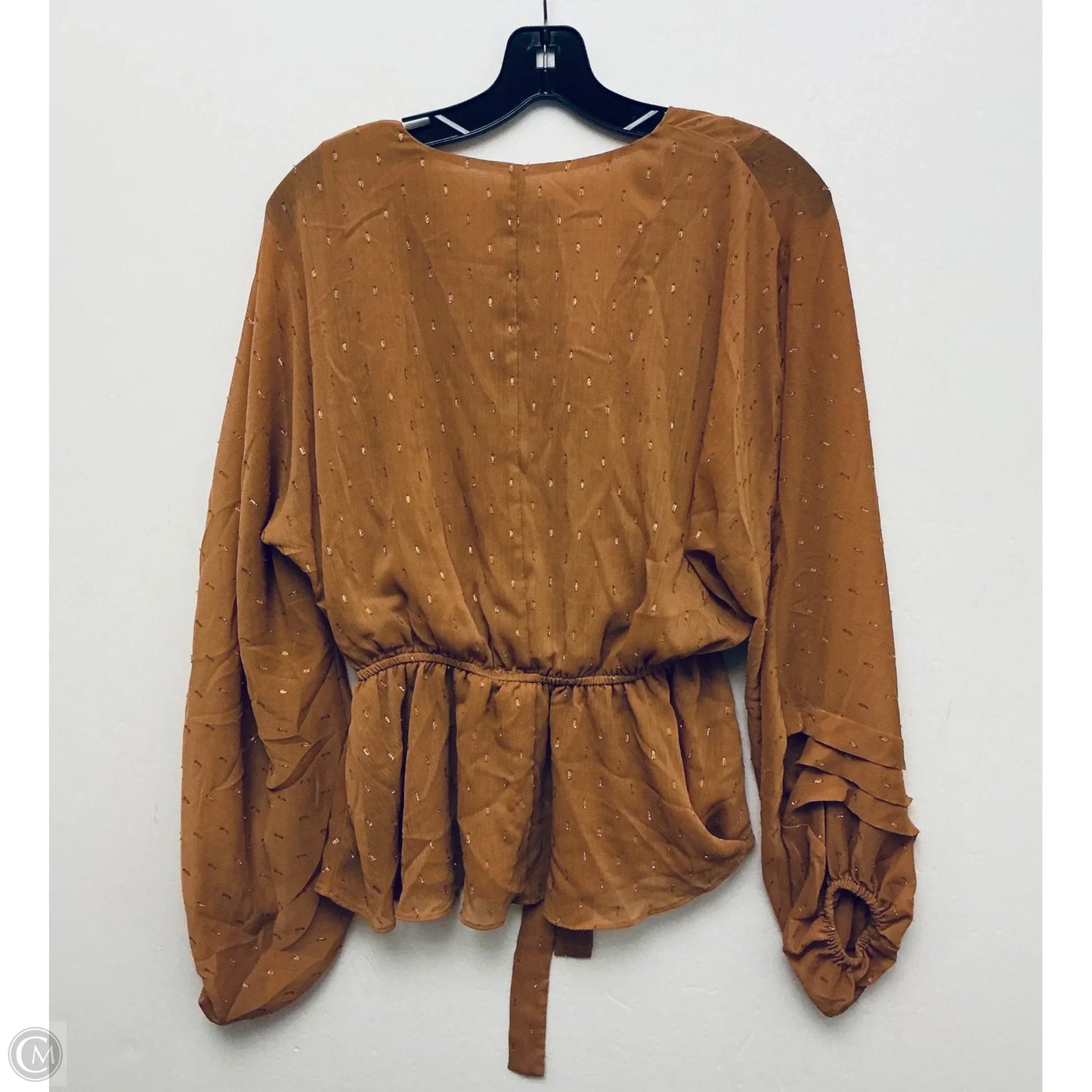 Top Long Sleeve By Express In Brown, Size: M
