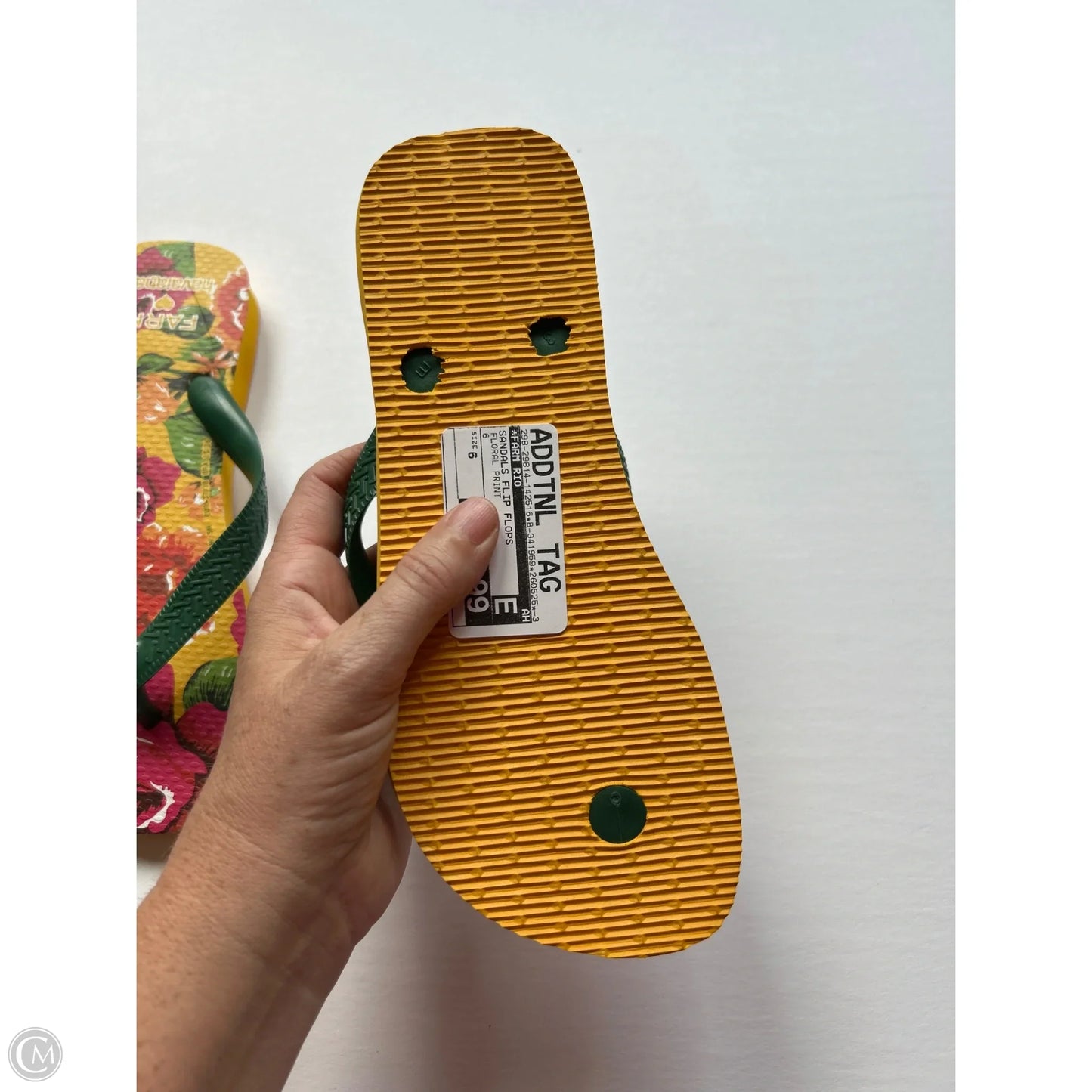 Sandals By Havanians x Farm Rio, Size: 6