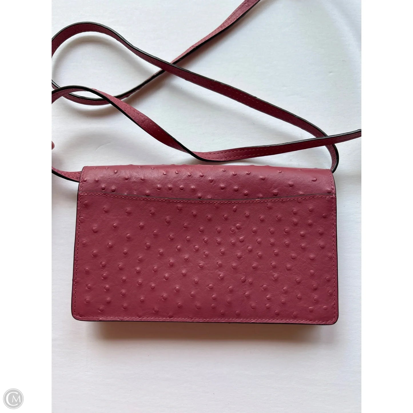 Crossbody Designer By Coach, Size: Small