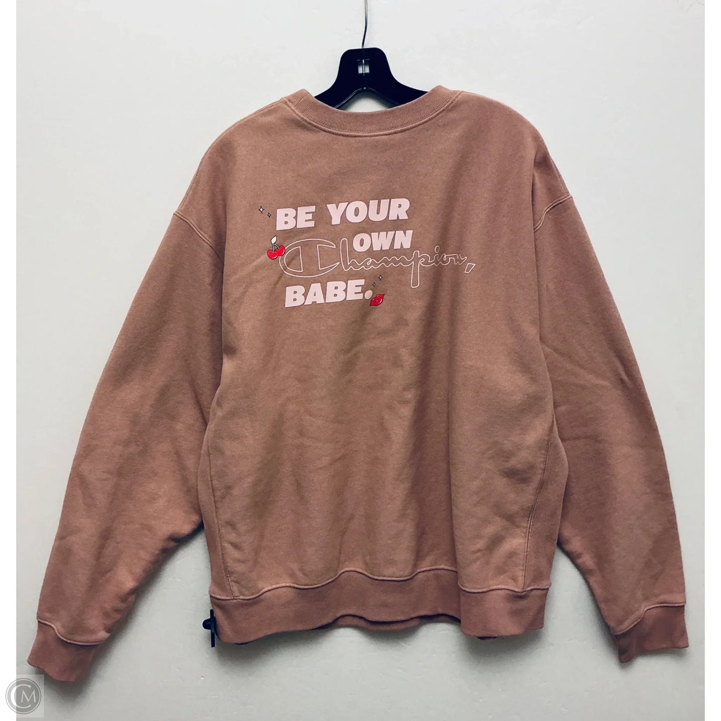 Sweatshirt Crewneck By Champion In Pink, Size: 2x